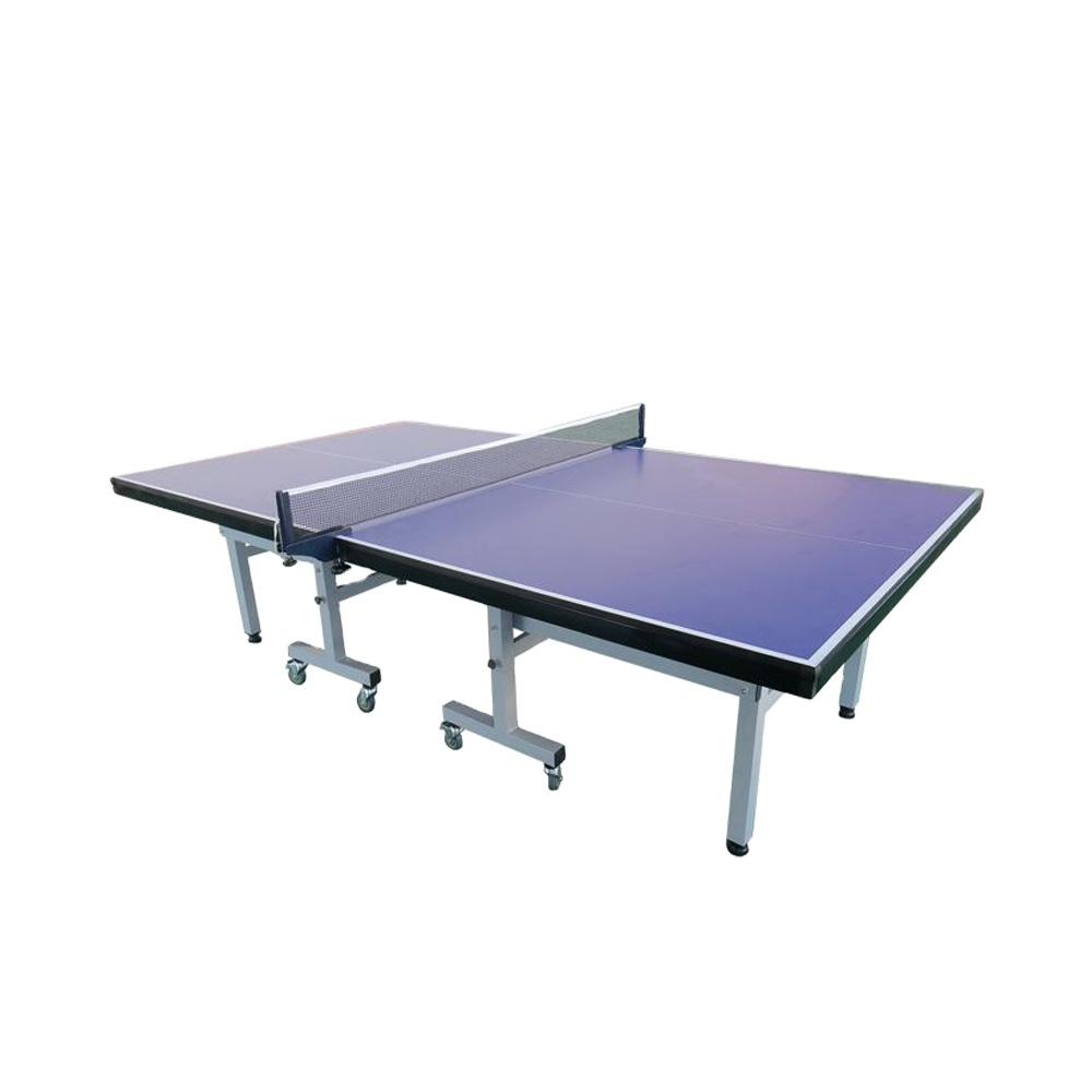 Table Tennis Training - Indoor Table Tennis Table With Top