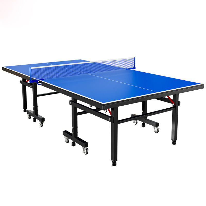Table Tennis Training - Professional Table Tennis Table 25mm Portable