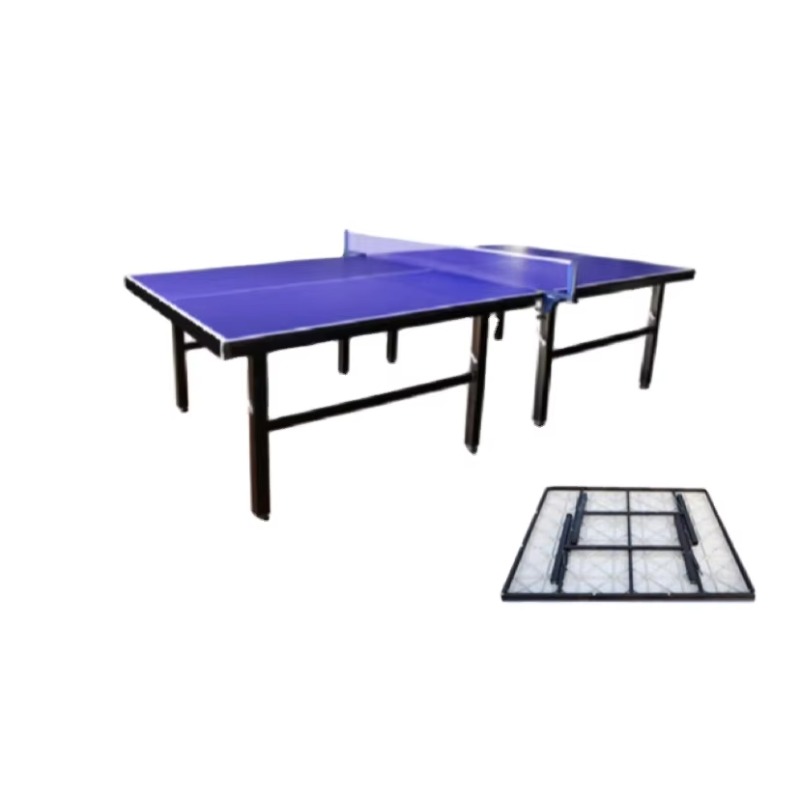 Table Tennis Training - Hot Sale Approved Modern Luxury Indoor