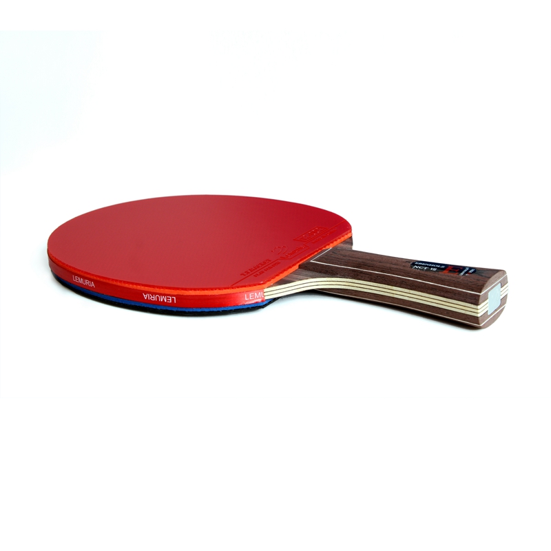 Lemuria EBENHOLZ-Table Tennis  - Table Tennis Padel recension och pris