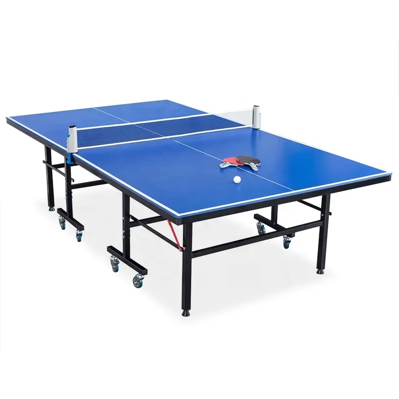 Professional Table Tennis Tabl - Table Tennis Training recension och pris