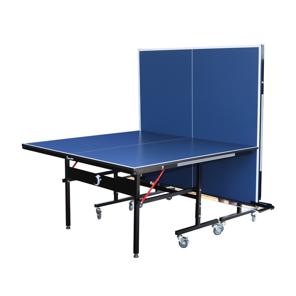 Professional Table Tennis Tabl - Table Tennis Training recension och pris